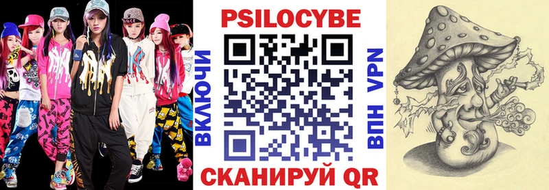 Псилоцибиновые грибы MAGIC MUSHROOMS  купить закладку  мега ONION  Электрогорск 