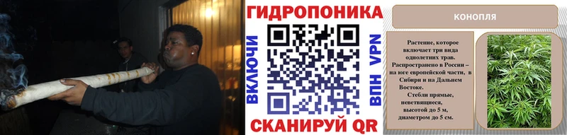 кракен онион  Электрогорск  Марихуана OG Kush  где купить наркотик 